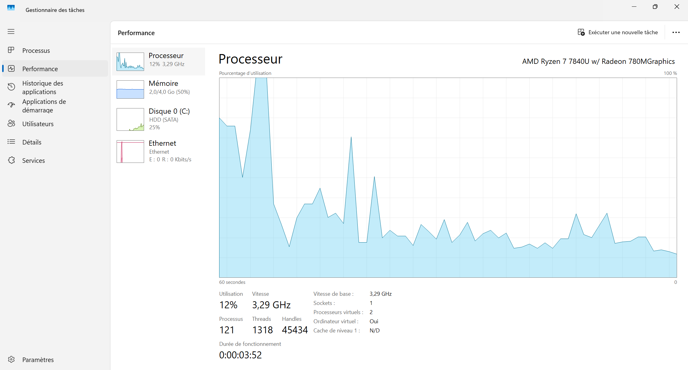 Gestionnaire de tâches -  performance normal (CPU & RAM)